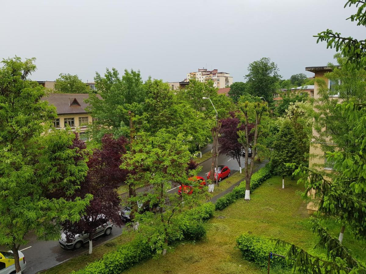 Apartment Aris